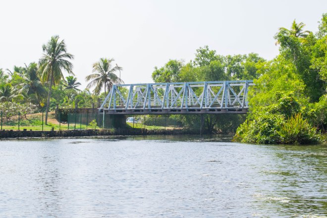 Backwaters of Poovar